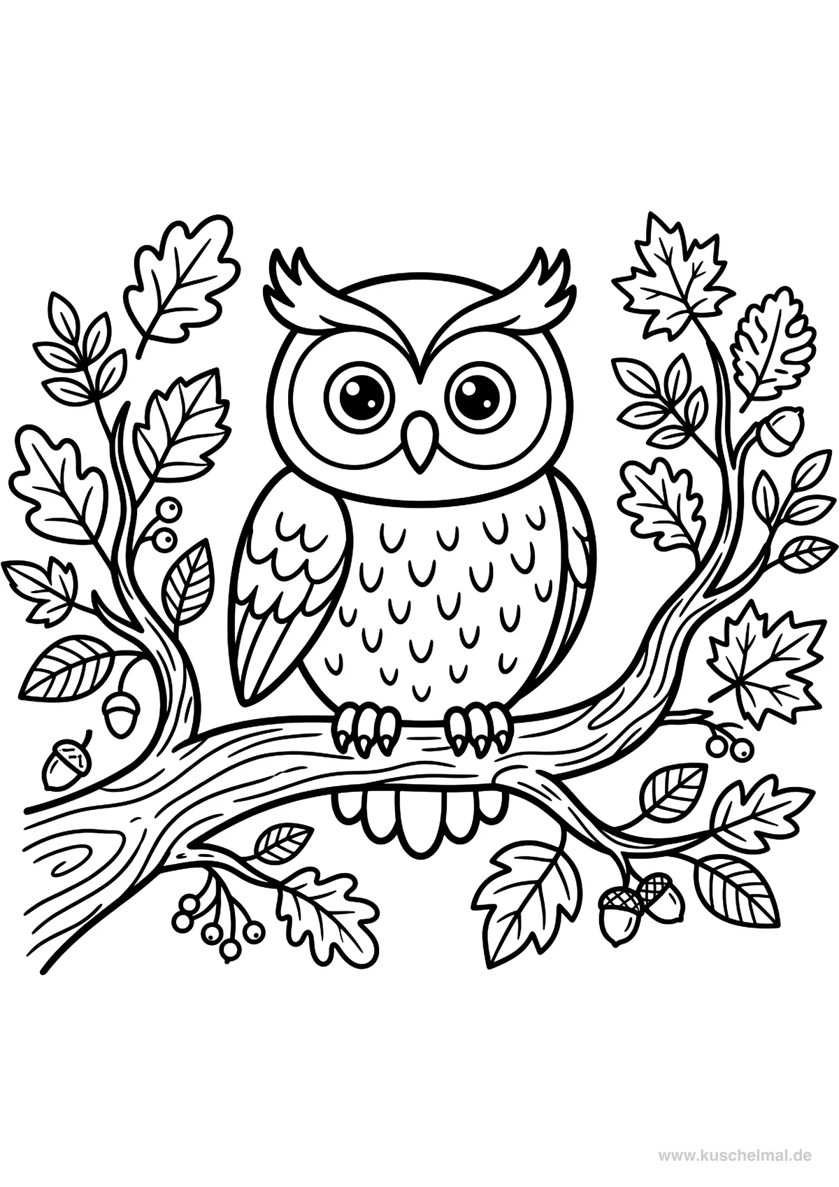 Gufo sul Ramo - Disegno di Autunno da colorare gratis per bambini da stampare