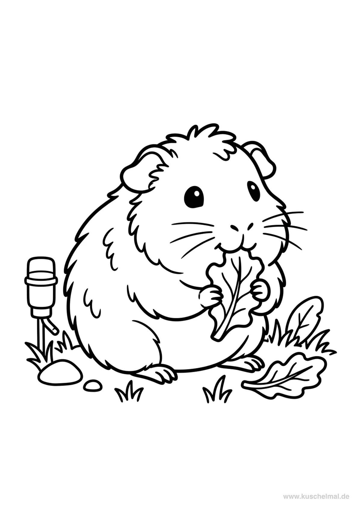 Meerschweinchen beim Fressen Ausmalbild - Kostenloses Meerschweinchen Ausmalbild für Kinder zum Ausdrucken